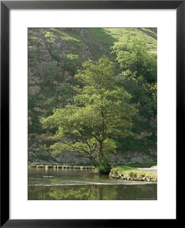 Dovedale (Dove Dale), Derbyshire, England, United Kingdom by Michael Busselle Pricing Limited Edition Print image