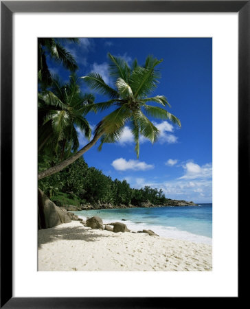 Seychelles, Indian Ocean, Africa by Robert Harding Pricing Limited Edition Print image