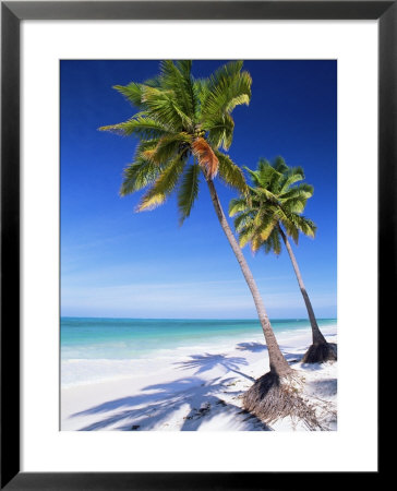 Palm Tree, White Sand Beach And Indian Ocean, Jambiani, Island Of Zanzibar, Tanzania, East Africa by Lee Frost Pricing Limited Edition Print image