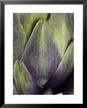 An Artichoke by Herbert Lehmann Pricing Limited Edition Print image