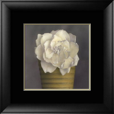 Gardenia In Yellow Pot by Carnochan Pricing Limited Edition Print image
