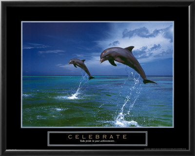 Celebrate - Dolphins by Craig Tuttle Pricing Limited Edition Print image