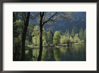 Scenic View Of The Merced River In Spring by Marc Moritsch Pricing Limited Edition Print image