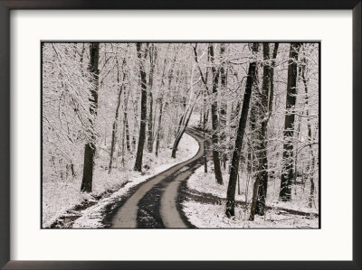 A Road Running Through Snow-Covered Woods by George F. Mobley Pricing Limited Edition Print image