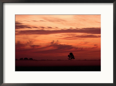 Dawn Mist Hangs Over Lake Kissimmee State Park by Raymond Gehman Pricing Limited Edition Print image