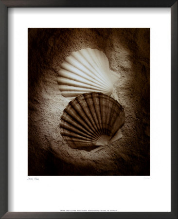Scallops by Laurel Wade Pricing Limited Edition Print image