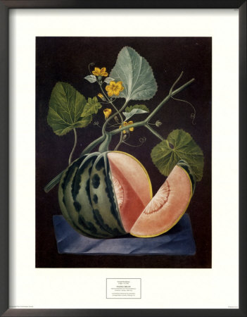 Polinac Melon by George Brookshaw Pricing Limited Edition Print image
