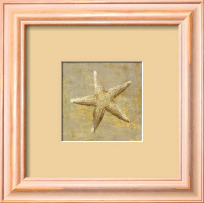Seashell Collection I by Fabrice De Villeneuve Pricing Limited Edition Print image