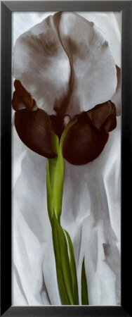 The Iris by Georgia O'keeffe Pricing Limited Edition Print image