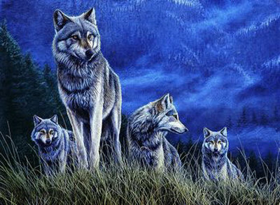 Wolves On High Ground by Dr. Jeremy Paul Pricing Limited Edition Print image