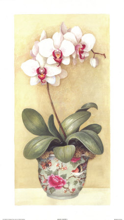 Exotic Orchids I by Jean Scott Tonge Pricing Limited Edition Print image