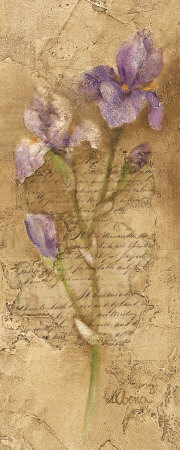 Iris Letters I by Albena Hristova Pricing Limited Edition Print image
