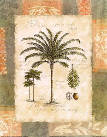 Tropical Palm I by Tricia Harrison Pricing Limited Edition Print image