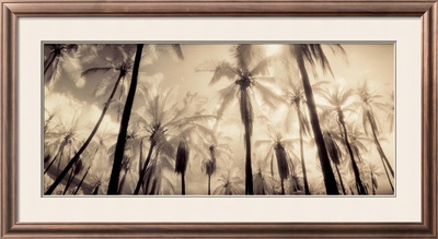 Palm Paradise by Susan Friedman Pricing Limited Edition Print image