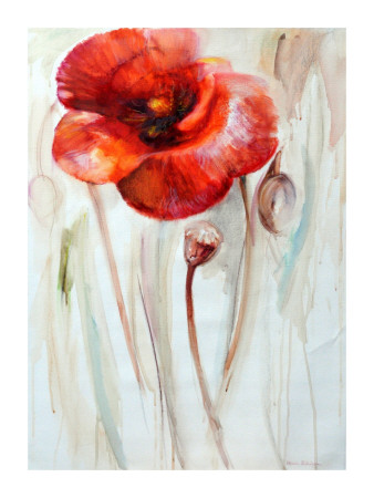 Modern Red Poppy by Maria Zielinska Pricing Limited Edition Print image