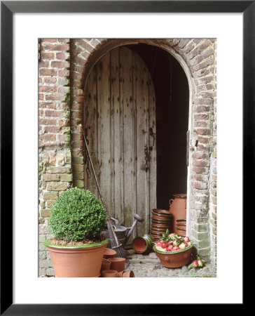 Buxus In Terracotta Pot, Apples In A Bowl, Empty Pots Outside Wo Oden Barn Door by Sunniva Harte Pricing Limited Edition Print image