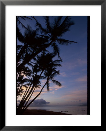 Molokai One Alii Park, Kalohi Channel Beyond Palm by Jeff Greenberg Pricing Limited Edition Print image