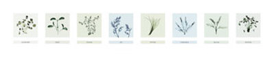 Eight Herbs by Nina Farrell Pricing Limited Edition Print image