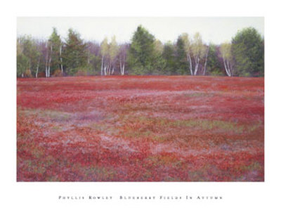 Blueberry Fields In Autumn by Phyllis Rowley Pricing Limited Edition Print image