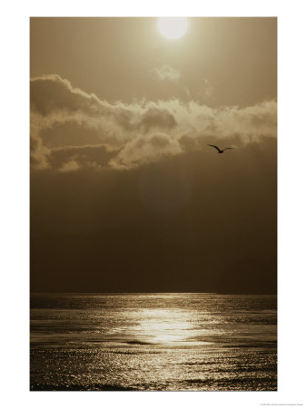 The Sun Sets Over The Pacific Ocean Off The Coast Of Shell Beach by Marc Moritsch Pricing Limited Edition Print image