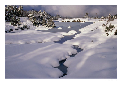 Snow On Franklin River, Cradle Mountains, Lake St. Clair National Park, Tasmania, Australia by Rob Blakers Pricing Limited Edition Print image