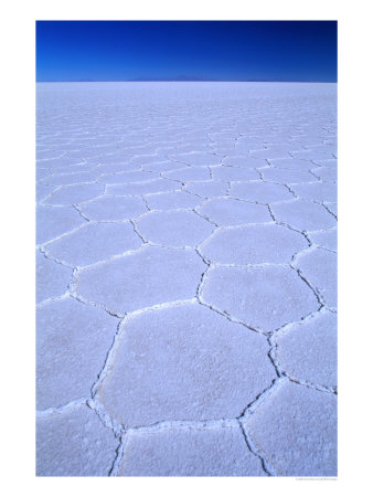 Polygonal Patterns On Salt Flats, Salar De Uyuni, Potosi, Potosi, Bolivia by Grant Dixon Pricing Limited Edition Print image