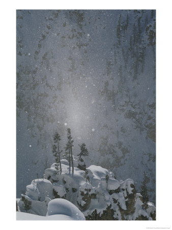 Yellowstone National Park, Winter View by Norbert Rosing Pricing Limited Edition Print image