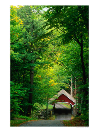 The New Hampshire Covered Bridge #39, Also Known As The Flume Bridge, New Hampshire, Usa by Mark Newman Pricing Limited Edition Print image