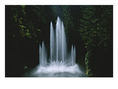 Ross Fountain Dancing In Front Of Lush Trees In Butchart Gardens by Todd Gipstein Pricing Limited Edition Print image
