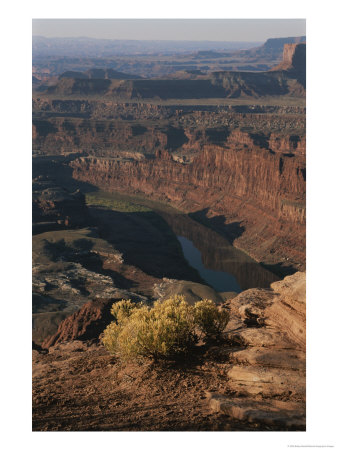 A View From Dead Horse Point In Canyonlands National Park by Bobby Model Pricing Limited Edition Print image