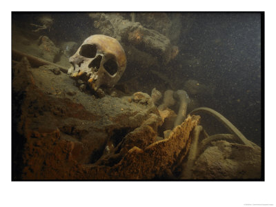 A Human Skull Lies Inside The Wreckage Of A German U-Boat by Brian J. Skerry Pricing Limited Edition Print image