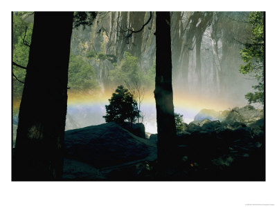 A Rainbow Rises Above The Mist In The Woods by Marc Moritsch Pricing Limited Edition Print image