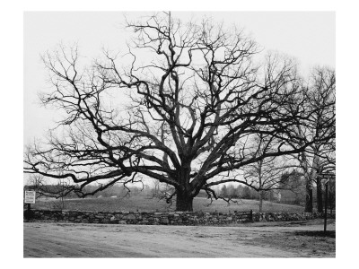 House & Garden - January 1945 by Tom Leonard Pricing Limited Edition Print image