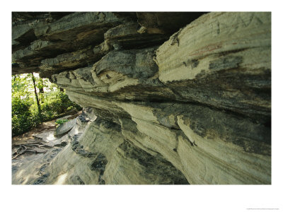 Quartzite, Metamorphosed Sandstone, At Base Of Pilot Mountain by Raymond Gehman Pricing Limited Edition Print image
