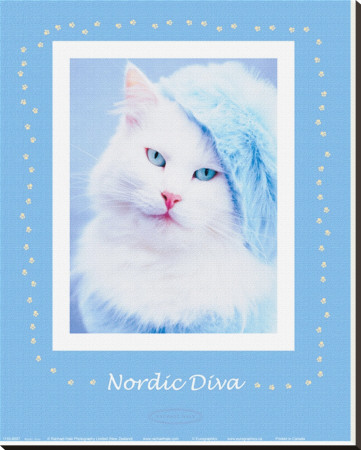 Nordic Diva by Rachael Hale Pricing Limited Edition Print image