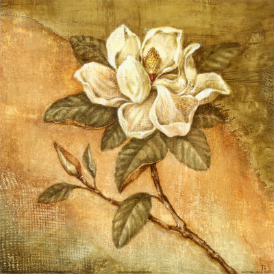 Burlap Magnolia Ii by Tina Chaden Pricing Limited Edition Print image