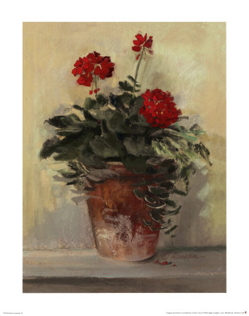 Potted Geraniums Ii by Carol Rowan Pricing Limited Edition Print image