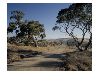 Country Road, Fleurieu Peninsula, Australia by Walter Bibikow Pricing Limited Edition Print image