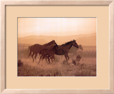 Desert Run by Robert Dawson Pricing Limited Edition Print image