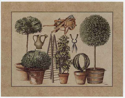 L'art De Former Les Topiaires, La Vigne by Laurence David Pricing Limited Edition Print image