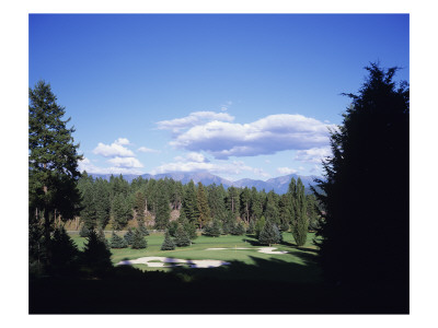 Old Works Golf Course, Pine Groves by Stephen Szurlej Pricing Limited Edition Print image