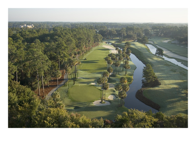 Tpc Sawgrass Stadium Course, Hole 6 by Stephen Szurlej Pricing Limited Edition Print image