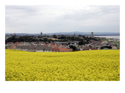 Village At St. Andrews by Stephen Szurlej Pricing Limited Edition Print image