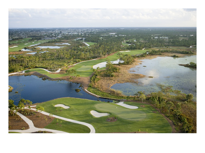 Medalist Golf Club, Holes 15 And 16, Aerial by Stephen Szurlej Pricing Limited Edition Print image