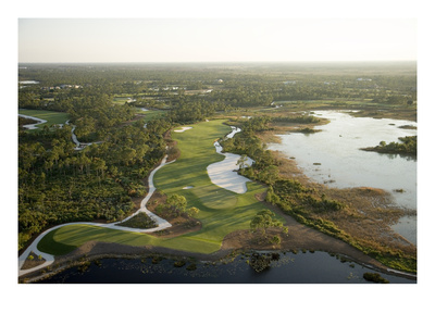 Medalist Golf Club, Hole 15 by Stephen Szurlej Pricing Limited Edition Print image