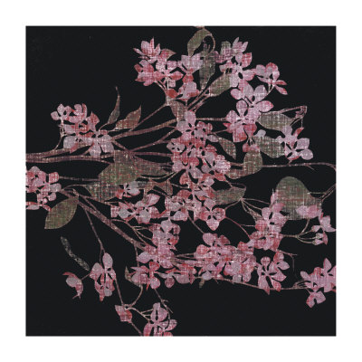 Blossom Branch, 2005 by Amiryani Pricing Limited Edition Print image