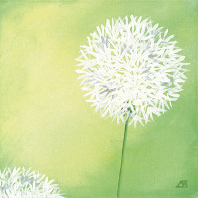 Dandelions Iv by Sabine Mannheims Pricing Limited Edition Print image