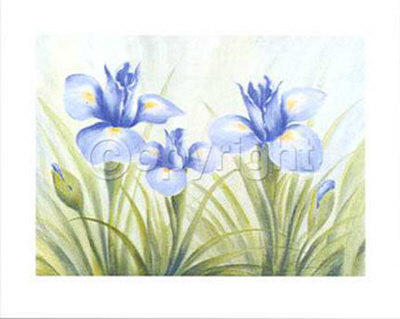 Fun Irises by Susanne Bach Pricing Limited Edition Print image