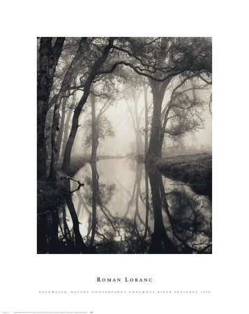 Backwater, Nature Conservancy, Cosumnes River Preserve, 1998 by Roman Loranc Pricing Limited Edition Print image