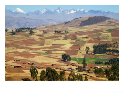 Farmland In The Sacred Valley, Cusco, Peru by Keren Su Pricing Limited Edition Print image